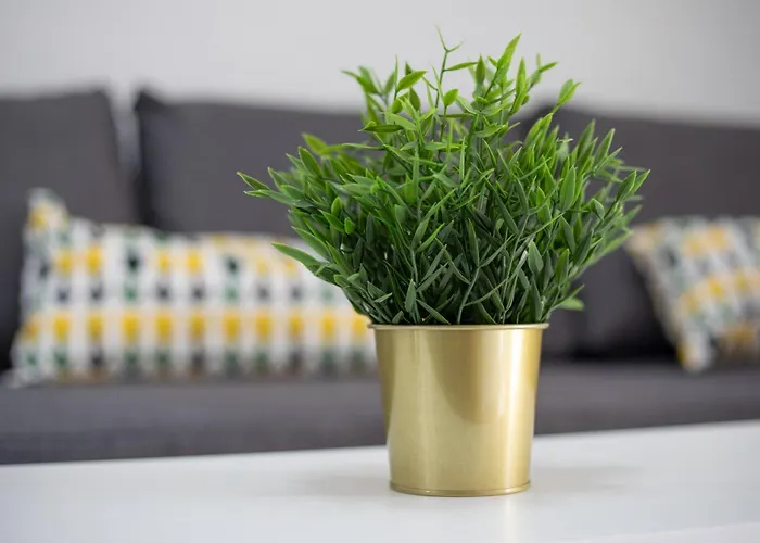 Casa Curro بيت للعطل كوستا كالما